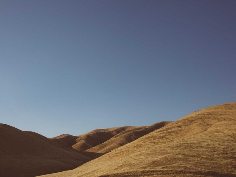 Fissette digital 2015 — Atelier contemporaneo